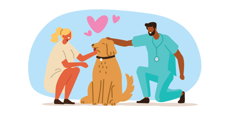 pet insurance illustration